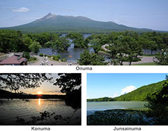 Onuma, Konuma, Junsainuma