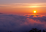 Scenery from Mt.Higurashi