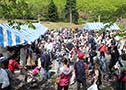 Shikabe Haruno Ebitsubu Matsuri (prawns & sea snail festival)