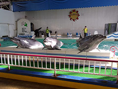 Otaru Aquarium
